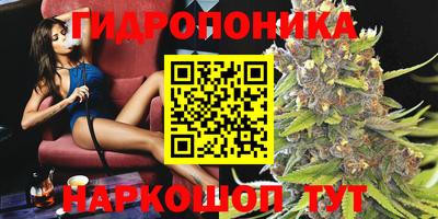 прущие крисы Нарткала