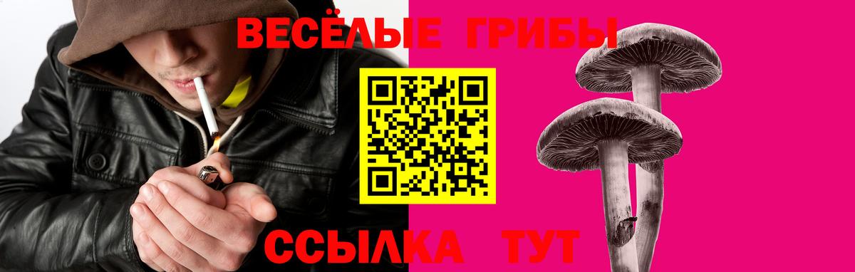 купить наркотик  Галлюциногенные грибы прущие грибы  Вход с VPN  Уссурийск  Галлюциногенные грибы GOLDEN TEACHER 